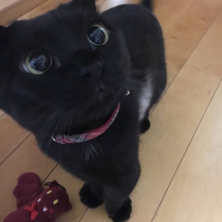 Ca2ba78f d9ca 44dc b21e 95265f04bec9