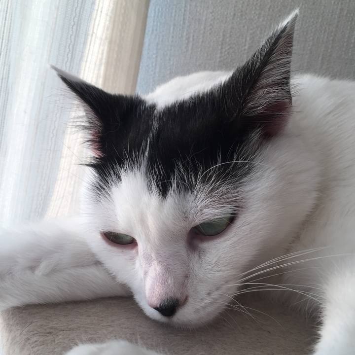 Ca2c012a a63e 46ea a94d cce3562a3894