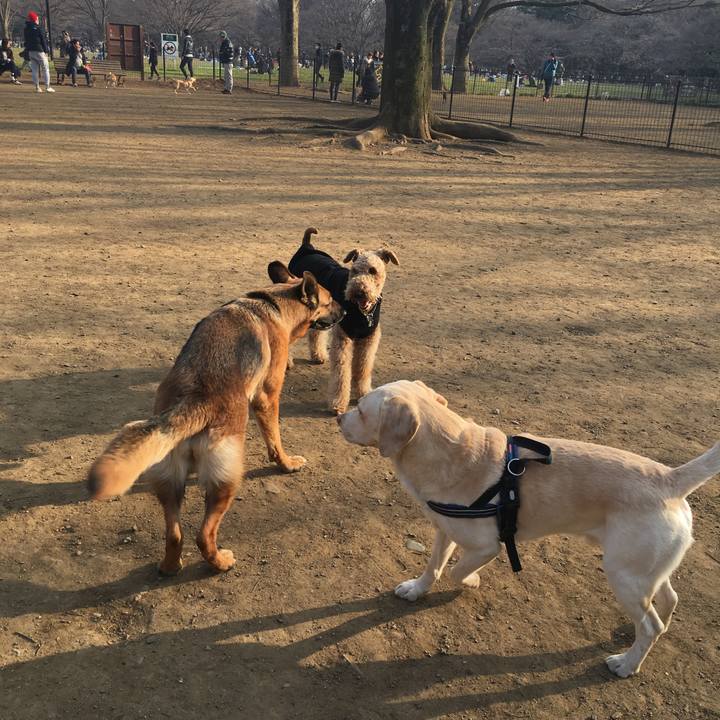 Ca2c9cb4 d15b 407c 8ab4 8229ea42981a