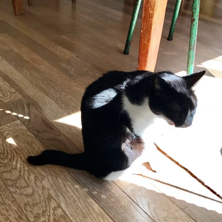 Ca2d9eb7 fff0 4c22 9b24 249dd3bc6f31