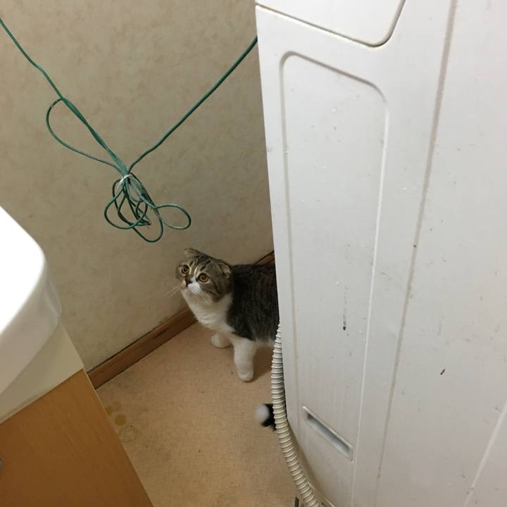 Ca2e3555 0fad 43b1 928b c67ed8a26e97