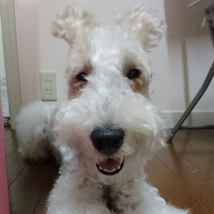 Ca2e99e0 59e7 4fd7 8801 09ac332350d2