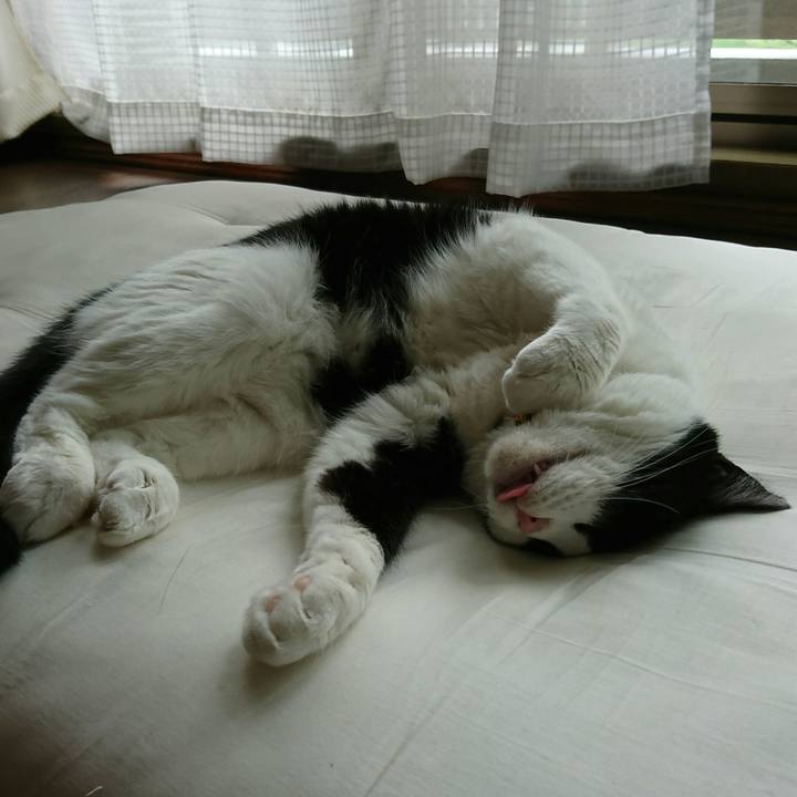 Ca2eae7d 5d1a 477a 95de b00cede65213