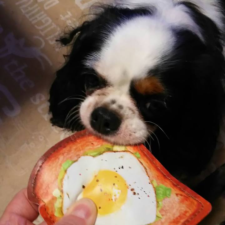 Ca2ecd0c 3111 4a1f a40c 4fc79f3a3ac7