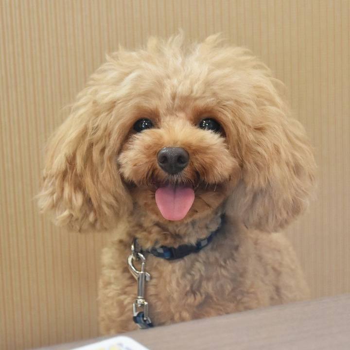 Ca2ed216 5b53 427e ae36 b7ec7f76d504