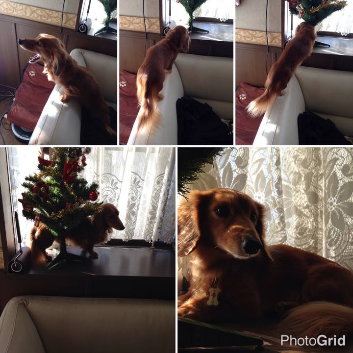 Ca2f79aa ed1f 4b56 b51f 2a00b67818ed