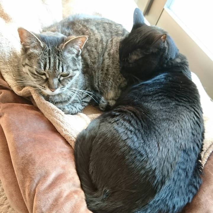 Ca2f7f88 e2ea 4fe1 bfa2 6c12e94bfed3