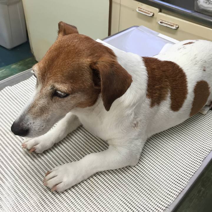 Ca2fdfbf 64d2 498f a429 77565031334a