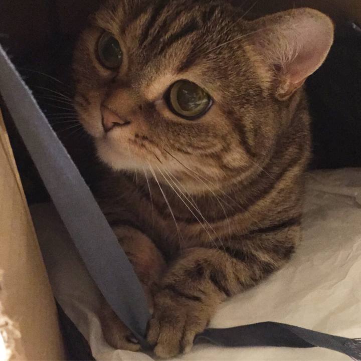 Ca306cec ed6b 459f aa65 67ad57463131