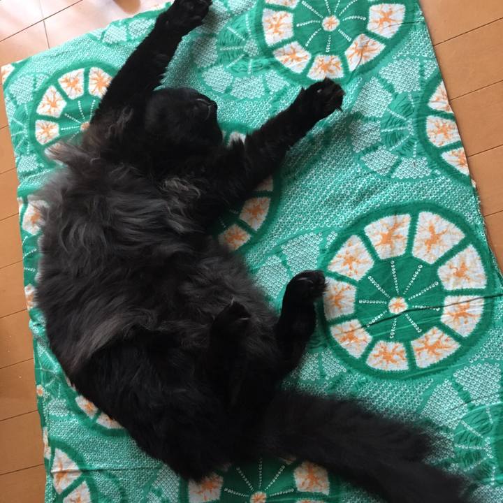 Ca309e93 fb4f 4ea2 a55d f07a7a88d3e3