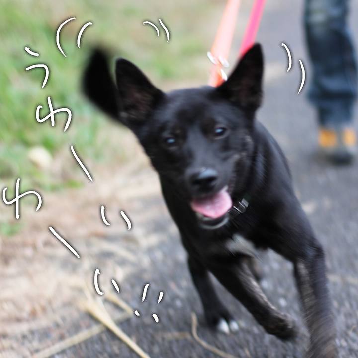 Ca30f4ef e476 4b96 8ab4 4dff3b66e1b4