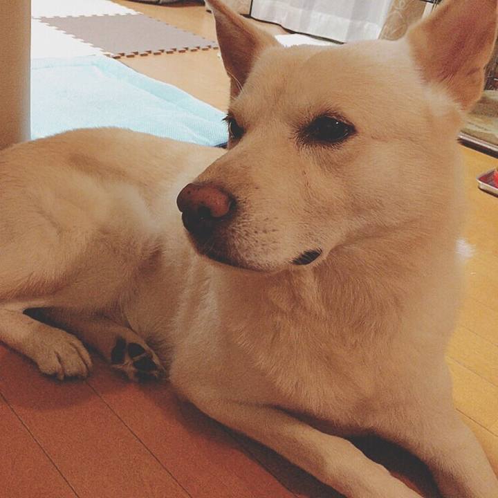 Ca31468f 79c7 4e65 bae5 8cd31c85089c