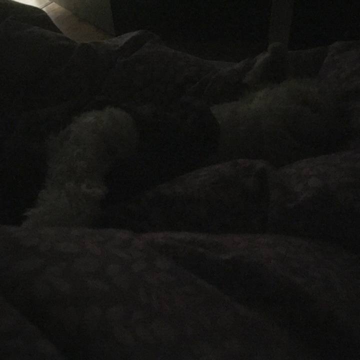 Ca316380 cd22 4dad a42a 4eafd22f64d9