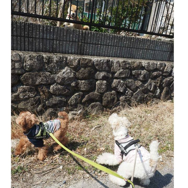 Ca317b4c b84a 47b7 a96e 27a21ad839a9