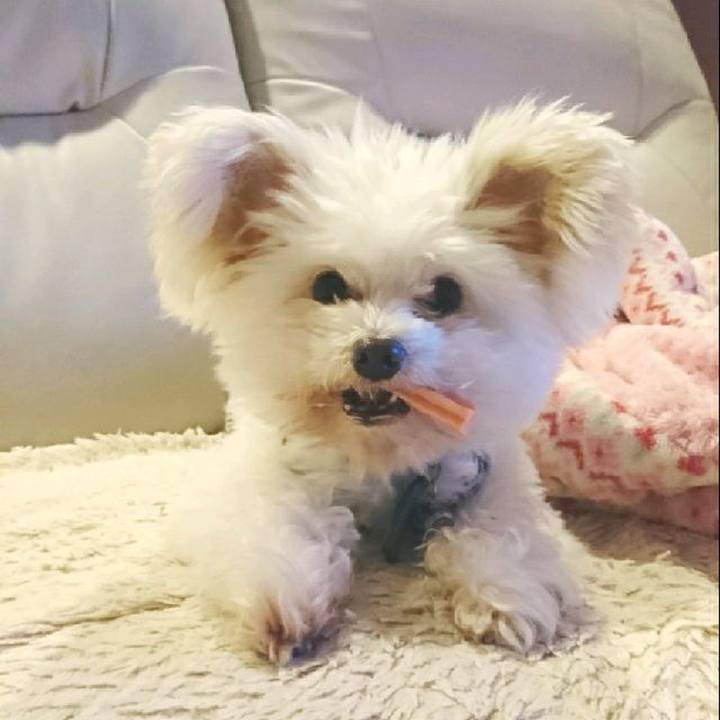 Ca31d9ee 39bc 4f94 ae4e 9594a6f477e4