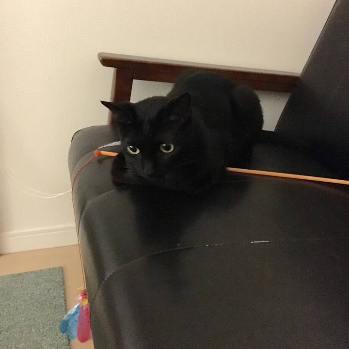 Ca31fbf6 1756 4493 b5d6 21d94ab48b57