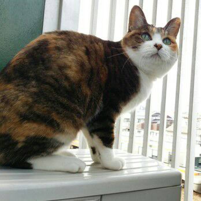 Ca322470 162b 4f94 aae8 400dcf2dc12f