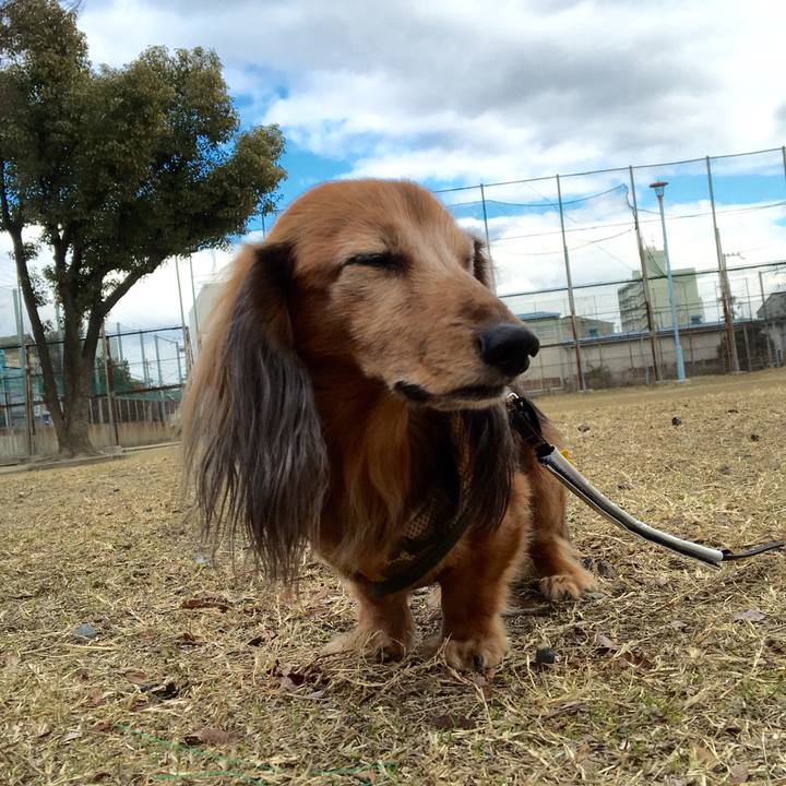 Ca327f6a 8a88 4d57 8665 f78638addd93