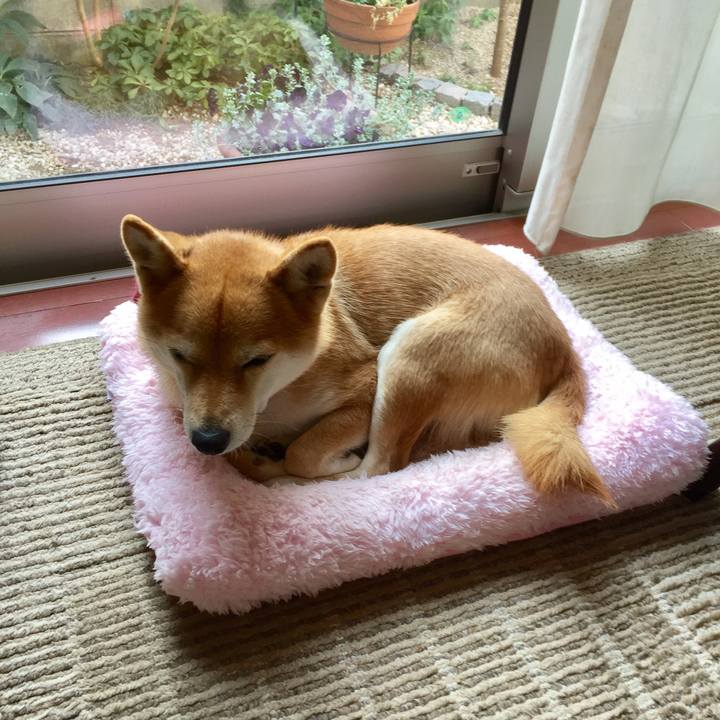 Ca32986d 1287 4ed4 9688 510743f20d09