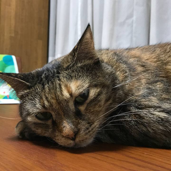 Ca339ab7 1eb2 4407 b4f2 a659e48e7a37