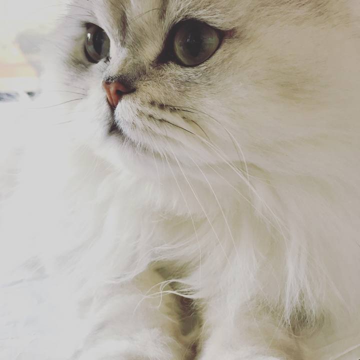 Ca340d97 c351 42d8 afa2 a2b8dc0819bc