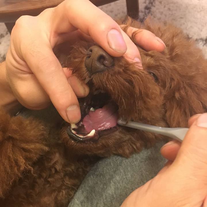 Ca3496d4 b53c 4fae b481 c9d1867e925d