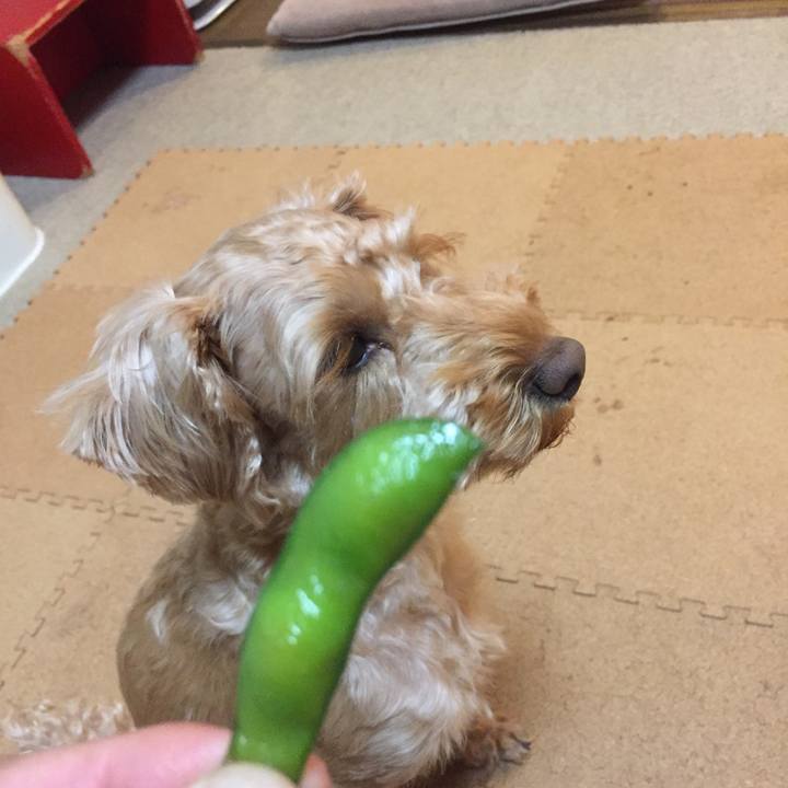 Ca349a9d 6bae 46ab 9923 3c81fa650781