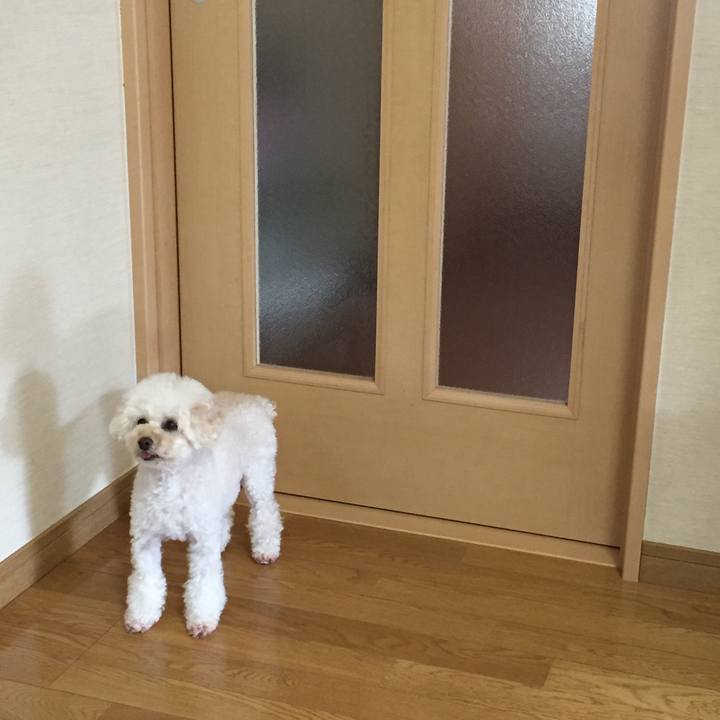 Ca35a9b0 7e39 4026 aa33 c29ba551843a