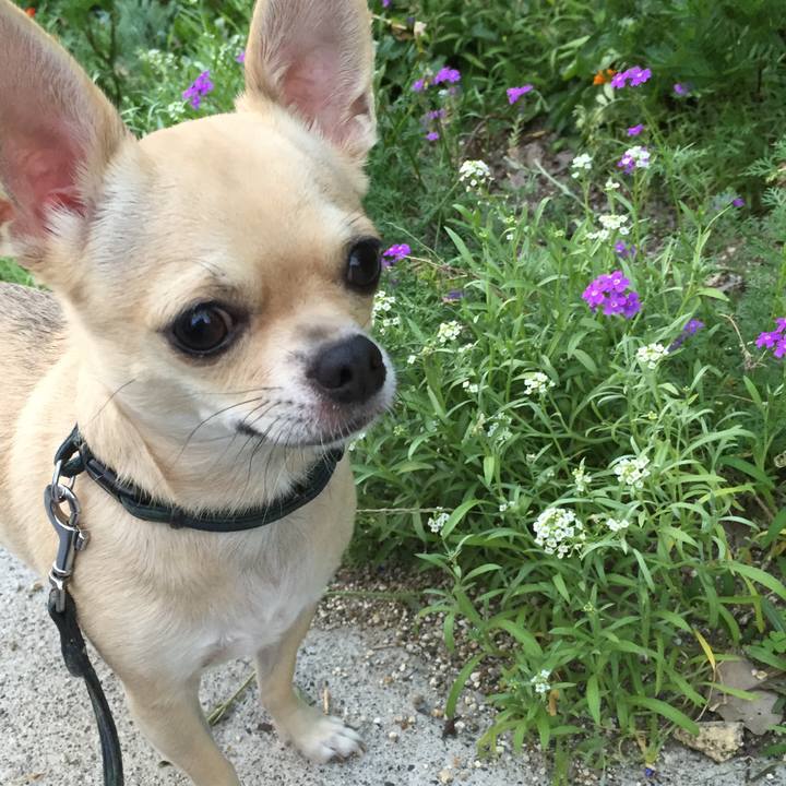 Ca36719f 1801 4474 bf2b c21dbcd8a162