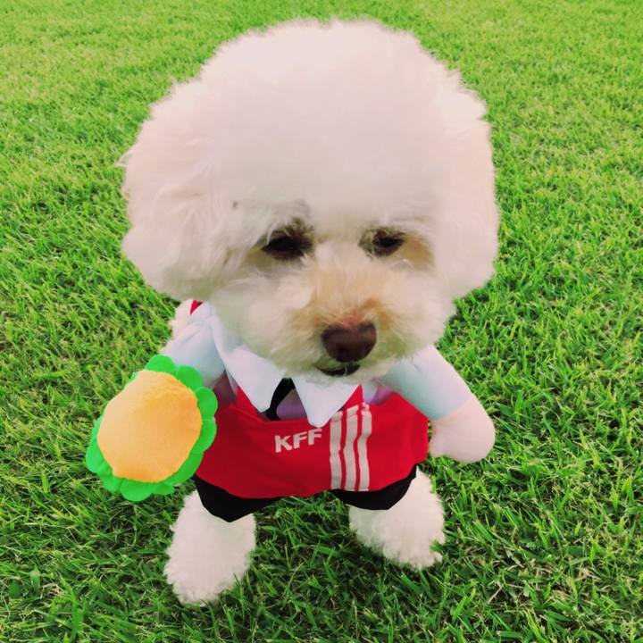 Ca37346d 778d 4344 9d88 c3bb16d72387