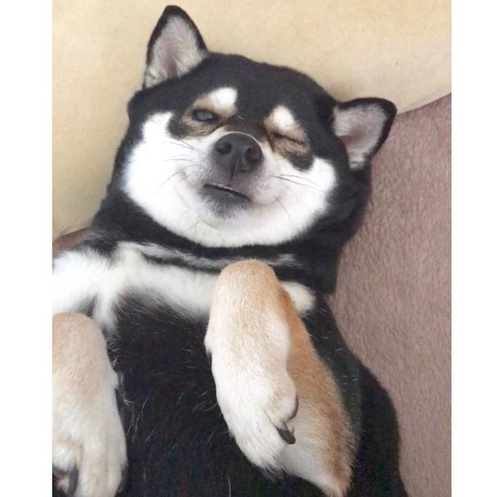 Ca37ddb6 9544 4f92 8473 d20ede070fa4