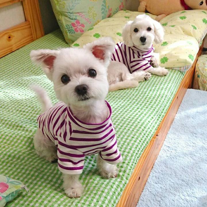 Ca388da7 db3b 4a22 9146 a95cd54c56d9