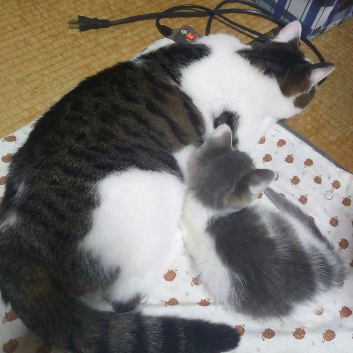 Ca389e01 c650 4e00 9766 0d9423fa700e