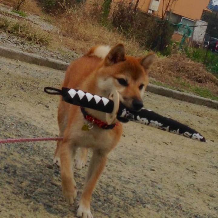 Ca3a403e 4710 4fe0 9aff 18d32cf2eac1