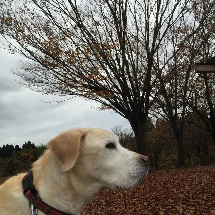 Ca3a5cee edf9 4e9f 98a3 3050ed4d65ba