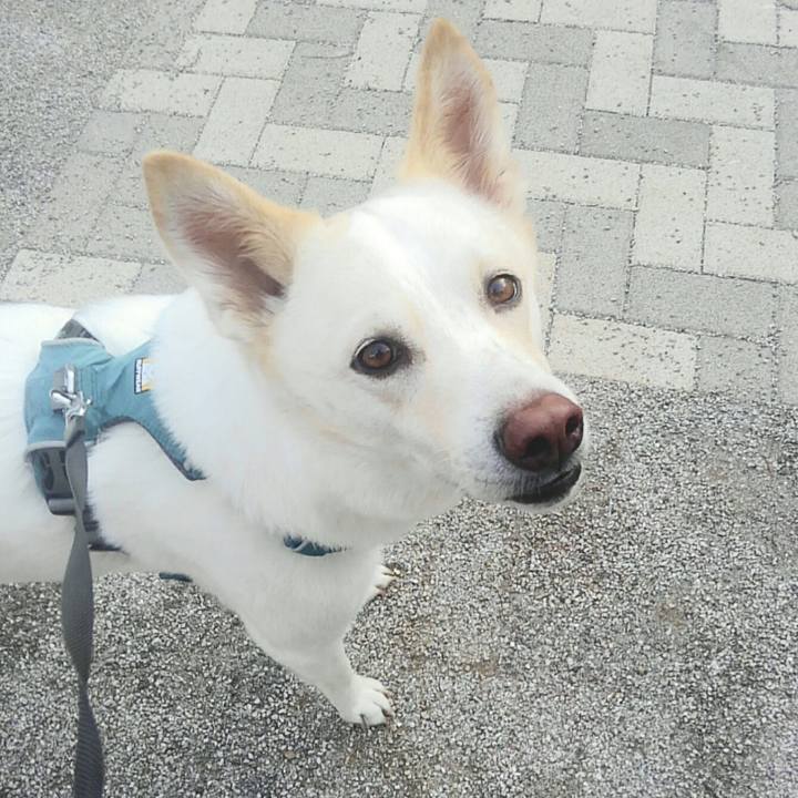 Ca3a5e64 eb88 45a3 ae7a f8adb213187b