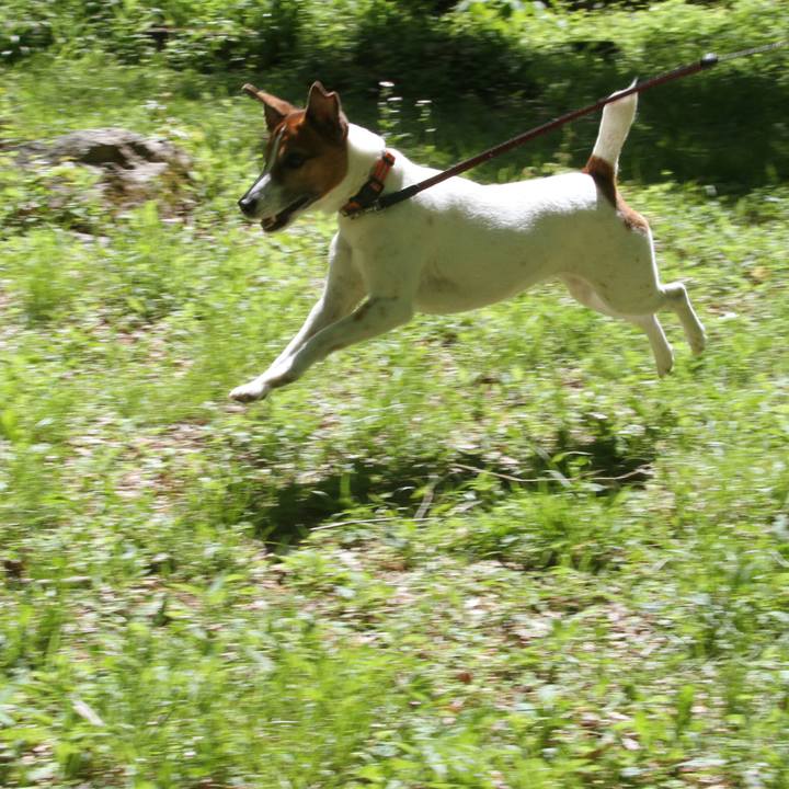 Ca3b2de4 4fe1 4164 a85d 1529596e481b