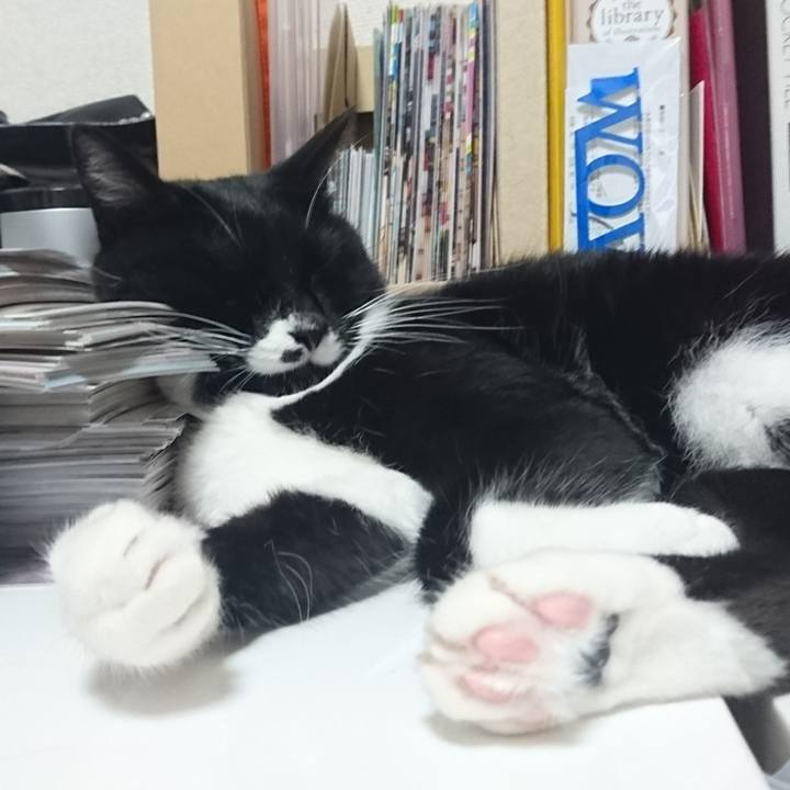 Ca3b9b4a dddf 4cb1 a9fe a22bcd38bc5c