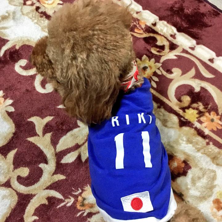 Ca3bdf9d 731a 4561 9c8f e6917212e87c