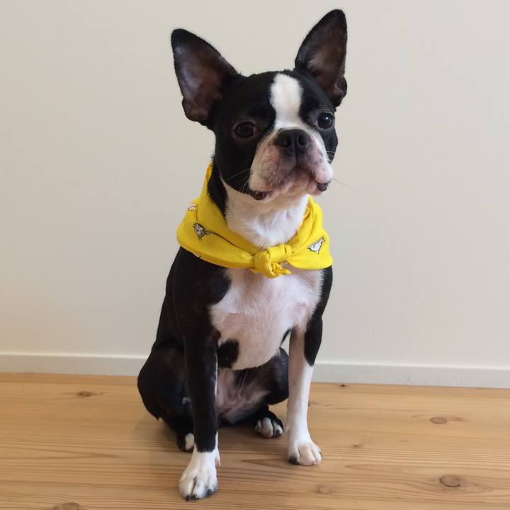 Ca3c1aca e0eb 4bd0 ae06 d97831809cb6