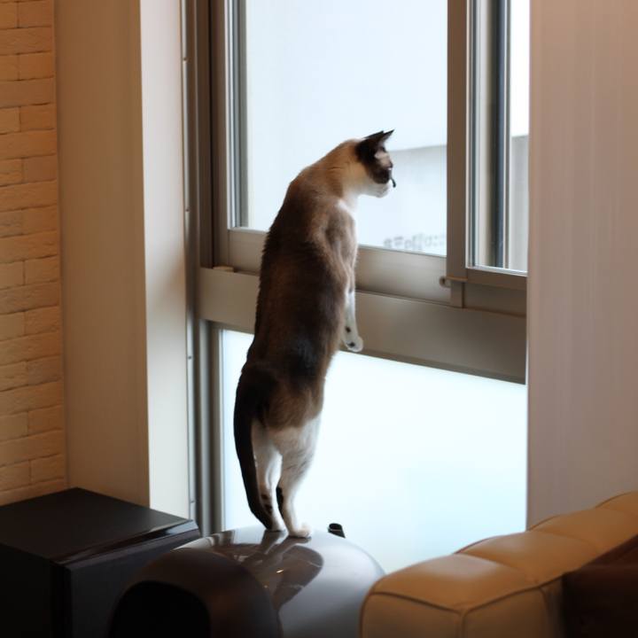 Ca3c1e30 4c3a 4ec9 aad7 124e8a7f84a0