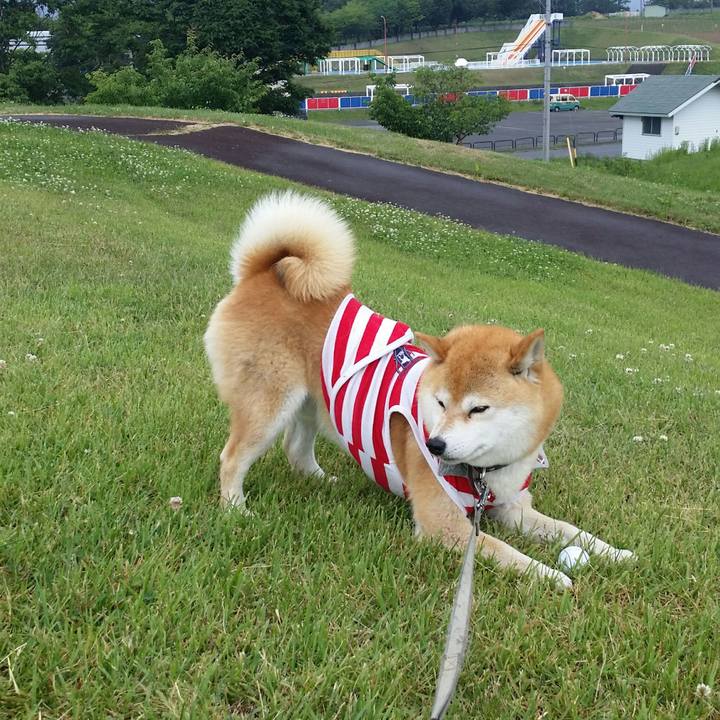 Ca3c31f3 2020 4681 9abf 20c434758bf3