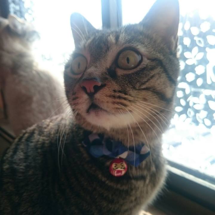 Ca3c597a fa12 4b43 9278 4a2f6ec42872