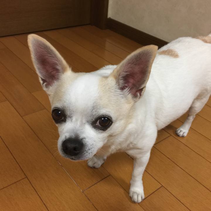 Ca3c6a16 1a1e 4bc6 a8b0 622b5551902c