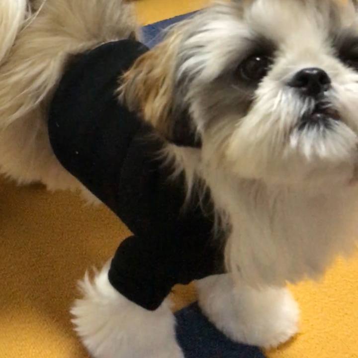 Ca3ca655 fb98 414b bb54 f93895cf140c