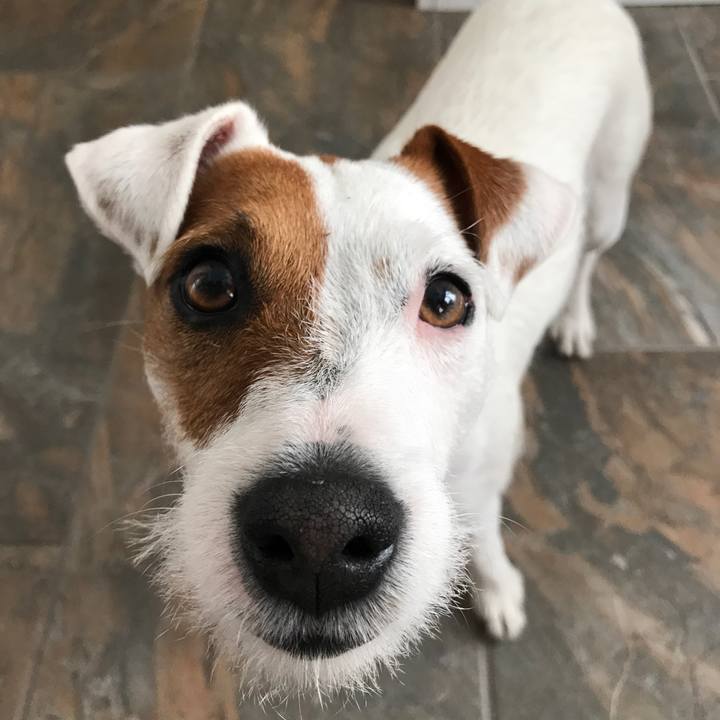 Ca3cb9eb 8374 4198 95c5 343a57c912f2