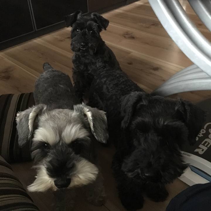 Ca3d2996 5470 4ee7 be39 c4ef36a31adc