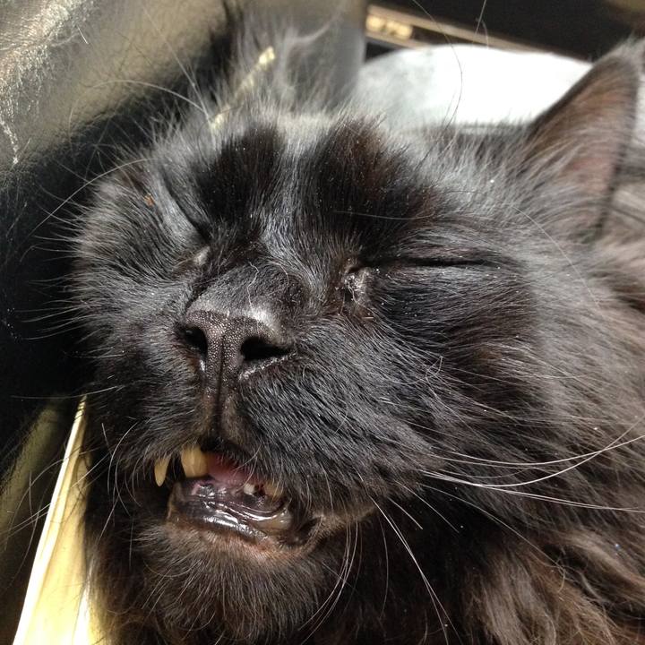 Ca3d4014 89f9 4fec bebb 49b01f8b9776