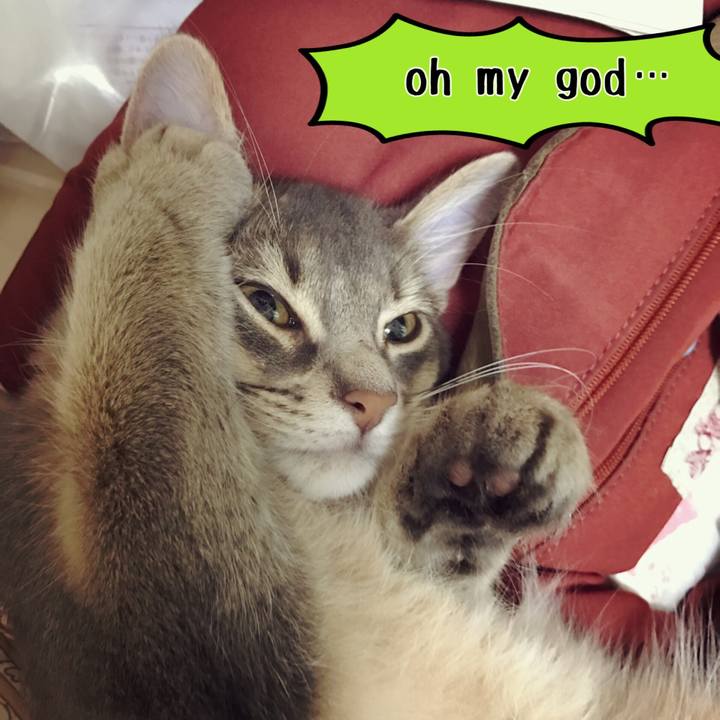 Ca3d5dd2 8741 451f 8b73 9501f50b7b77