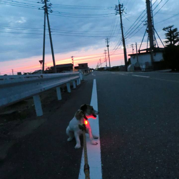 Ca3d7fb4 6ba2 4161 bfdc 7591279f0edb